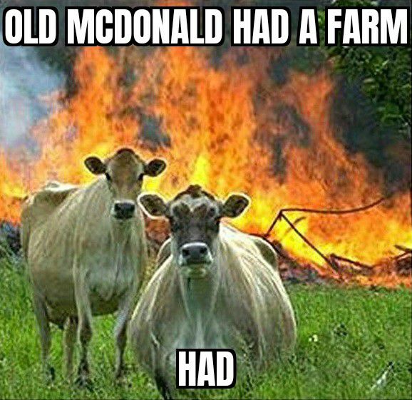 OLD MCDONALD HAD A FARM