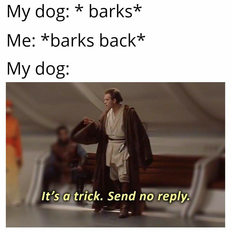 My dog barks Me barks back My dog Itsaitrick Send no reply e