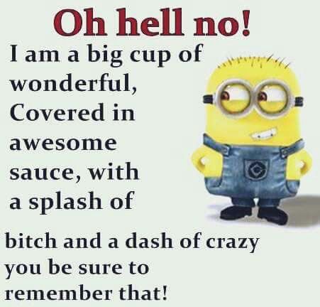 Oh hell no I am a big cup of wonderful Covered in awesome sauce with a splash of bitch and a dash of crazy you be sure to remember that