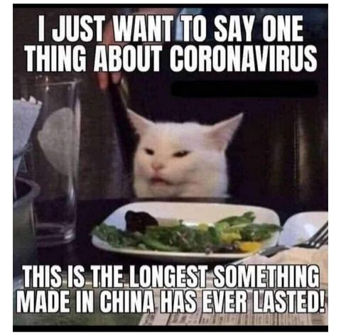 JUSTWANTITO SRY ONE THING ABOUT CORONAVIRUS JHISHS THE LONGESTSOMETHIN MADE IN GHIHIHISiEVERIJSTEII