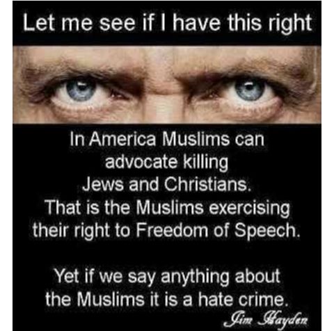 Let me see if have this right In America Muslims can advocate killing Jews and Christians LI E R R IVE BRI their right to Freedom of Speech ACRIREEE VR GITEEL TS the Muslims it is a hate crime i adin