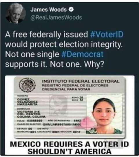 NET RN EY Realjames A IR L T YASISITTEYe AN would protect election integrity Not one single Democrat SV ooToTg 631 08 Qe T T 14 INSTITUTO FEDERAL ELECTORAL MEXICO REQUIRES A VOTER ID SHOULDNT AMERICA