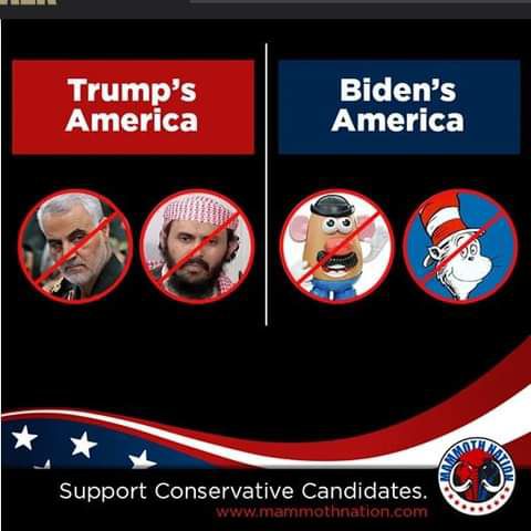 Trumps Bidens America America 2060 Support Conservative Candidates