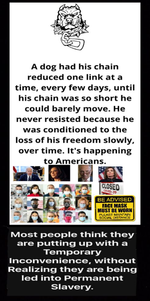 A dog had his chain reduced one link at a time every few days until his chain was so short he could barely move He never resisted because he was conditioned to the loss of his freedom slowly over time Its happening Most people think they are putting up with a BElaalTe1e1a Inconvenience without S Fdlale R g TR TN o TT g e led into Permanent S EAVZ TSVA