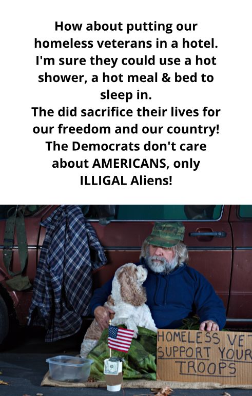 How about putting our homeless veterans in a hotel Im sure they could use a hot shower a hot meal bed to sleep in The did sacrifice their lives for our freedom and our country The Democrats dont care about AMERICANS only ILLIGAL Aliens