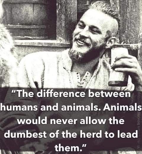 4 i 8 3 The difference between humans and animals Animals would never allow the dumbest of the herd to lead them T r