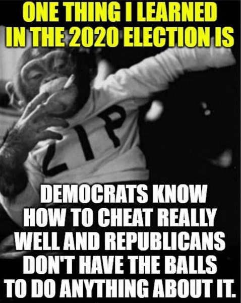 DEMOGRATS KNOW HOW TO CHEAT REALLY WELL AND REPUBLICANS DONT HAVE THE BALLS TO DO ANYTHING ABOUT IT