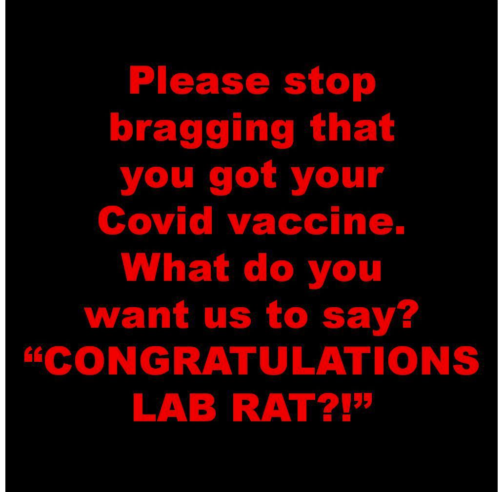 L T 0 LT RUEL you got your Covid vaccine What do you LT LY T o y ptlWyple kO LAB RAT