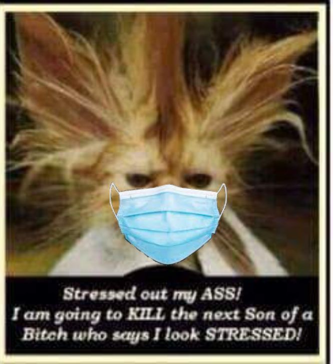 Stressed out my ASS I am going to KILL the next Son of a Biteh who says I look STRESSED