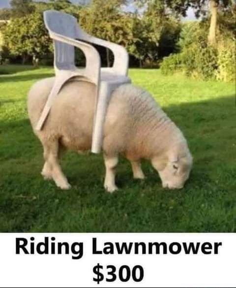 Riding Lawnmower 300