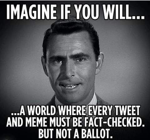L TR LA WORLD WHEREIEVERY TWEET AND MEME MUST BE FACT CHECKED BUT NOT A BALLOT