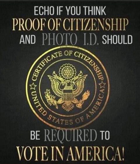 ECHO IF YOU THINK 01 A0 AGINVANRISIN AND PHOTO D SHoULD o RICIRED 10 VOTE IN AMERICA