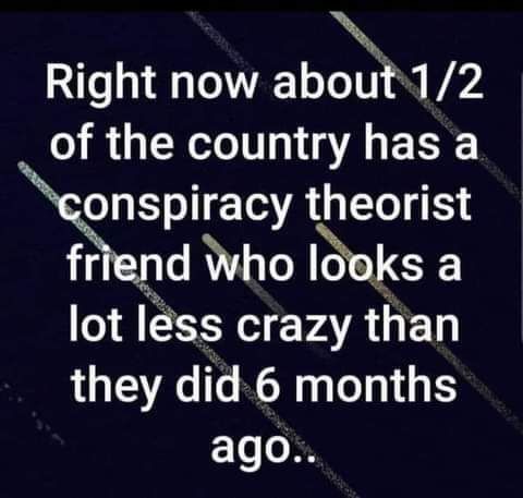 N Right now about12 of the country has a onspiracy theorist friend Who Iooks a lot less crazy than they did 6 months ago