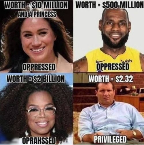 WORTHES10MILIIONN WORTH 500MILLION ANDJATPRINGESS e A I y y i OPPRESSED OPPRESSED WORTHEIS2BILLION WIIIIJII 232 L UHAHSSEII PRIVILEGED n r