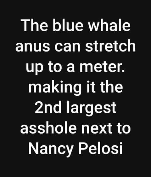 LY ERY L anus can stretch up to a meter making it the 2nd largest asshole next to Nancy Pelosi