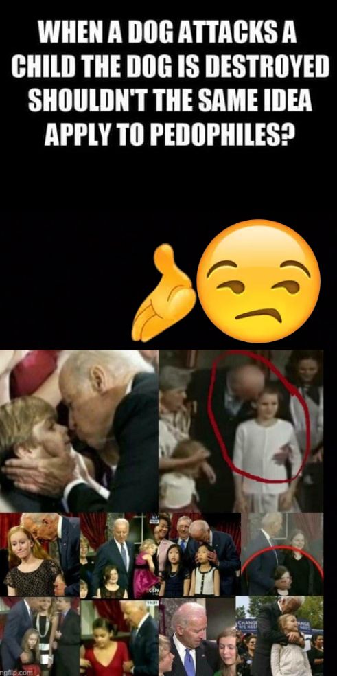 WHENA DOGATTACKS A CHILD THE DOG IS DESTROYED SHOULDNT THE SAME IDEA APPLY TO PEDOPHILES