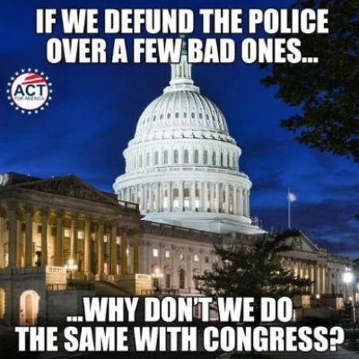 IF WE IIEHINII THE POLICE OVER A FEWBAD ONES lanl o N WIIY Illllll WEDO THE SAME WITH CONGRESS