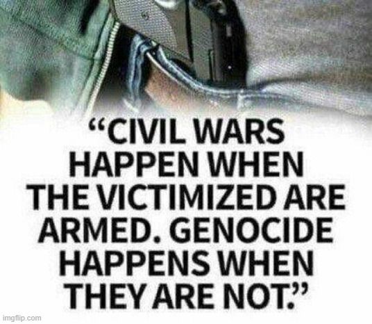 CIVIL WARS HAPPEN WHEN THE VICTIMIZED ARE ARMED GENOCIDE HAPPENS WHEN THEY ARE NOT
