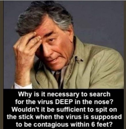 L AE L N LR G E for the virus DEEP in the nose Wouldnt it be sufficient to spit on the stick when the virus is supposed LGN R ET L ITERYI G TR 1 g