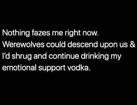 Nothing fazes me right now NUCIETTOTIVENT ololN fo o SEYoTTaTo RWToTol NVERY Id shrug and continue drinking my emotional support vodka