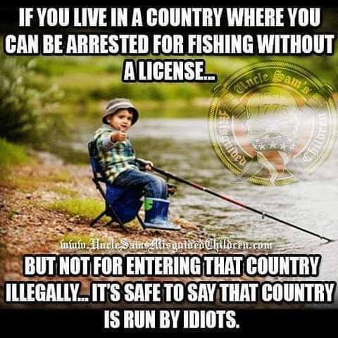 IFYOU LIVE IN A COUNTRY WHERE YOU CAN BE ARRESTED FOR FISHING WITHOUT THIHL IlIEIiAllV TS SAFE T0 SAY THAT COUNTRY IS RUN BY IDIOTS