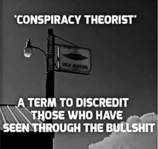 CONSPIRACY THEORIST T TERM TO DISCREDIT A A 0SE WHO HAVE S s o ST