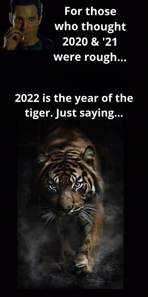 Forthose b LR T 41 2020 21 were rough 2022 is the year of the tiger Just saying A 5 7 NS