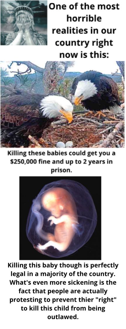 One of the most horrible realities in our country right now is this Killing these babies could get you a 250000 fine and up to 2 years in prison Killing this baby though is perfectly legal in a majority of the country Whats even more sickening is the fact that people are actually protesting to prevent thier right to kill this child from being outlawed
