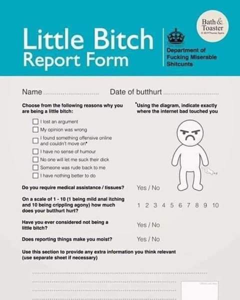 Little Bitch Report Form Name Date of butthurt Choose from the ollowing roasons why you are being a e bih 00 you require mcdic sistance ssues On a scale of1 10 1 eing mild analHeing a0 10 being crpgiing agony how much doos your butthurt urt Have you ever considered not being eh Using the diagram ndict ety where the ntormel bad touched you v