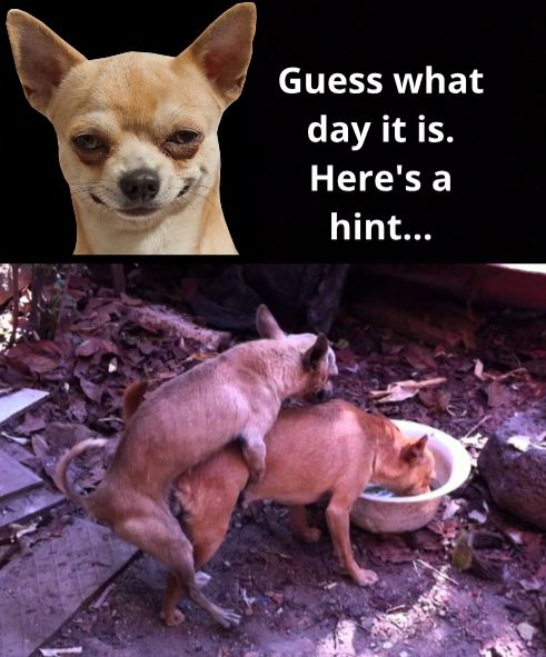 Guess what EVALAEN Heres a hint