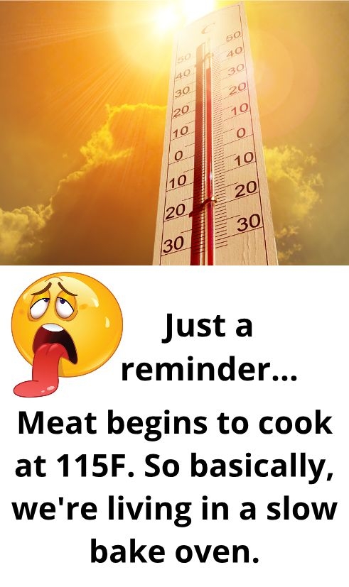Just a reminder Meat begins to cook at 115F So basically were living in a slow bake oven