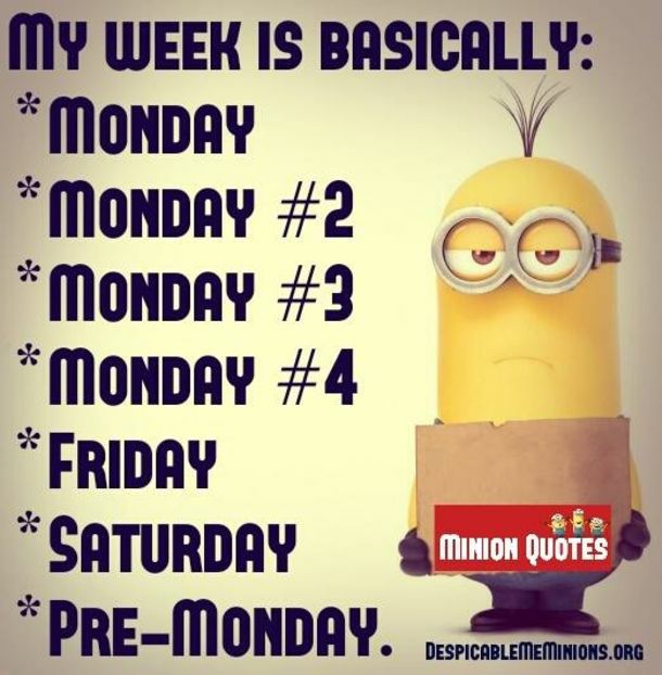 MY WEEK IS BASICALLY MonDbAY MoNDAY 2 MoNDRY 3 oo MONDAY 4 FRIDAY CATURDAY LT1C PRE MONDAY DESPICABLEMEMINIONS0RG