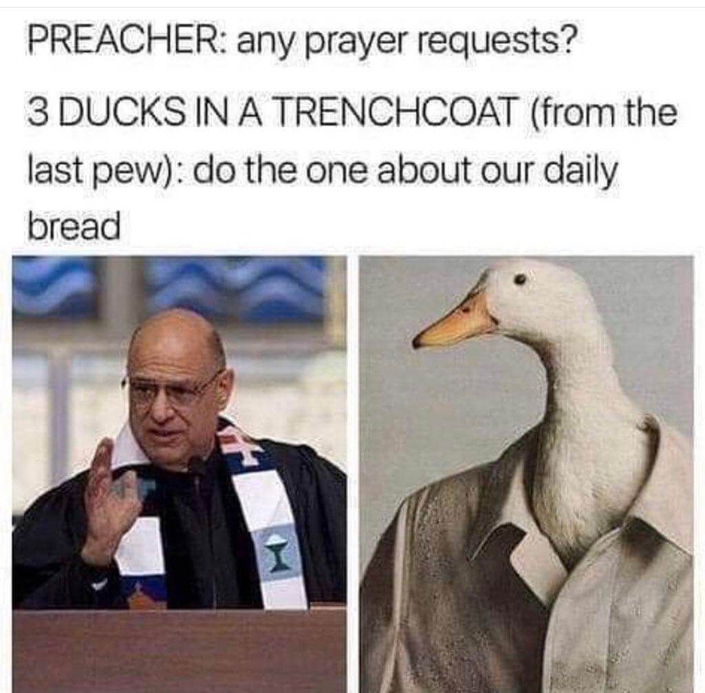 PREACHER any prayer requests 3 DUCKS IN A TRENCHCOAT from the last pew do the one about our daily bread