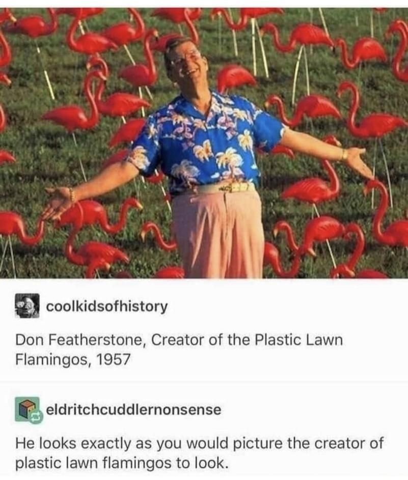 coolkidsofhistory Don Featherstone Creator of the Plastic Lawn Flamingos 1957 m eldritchcuddlernonsense He looks exactly as you would picture the creator of plastic lawn flamingos to look