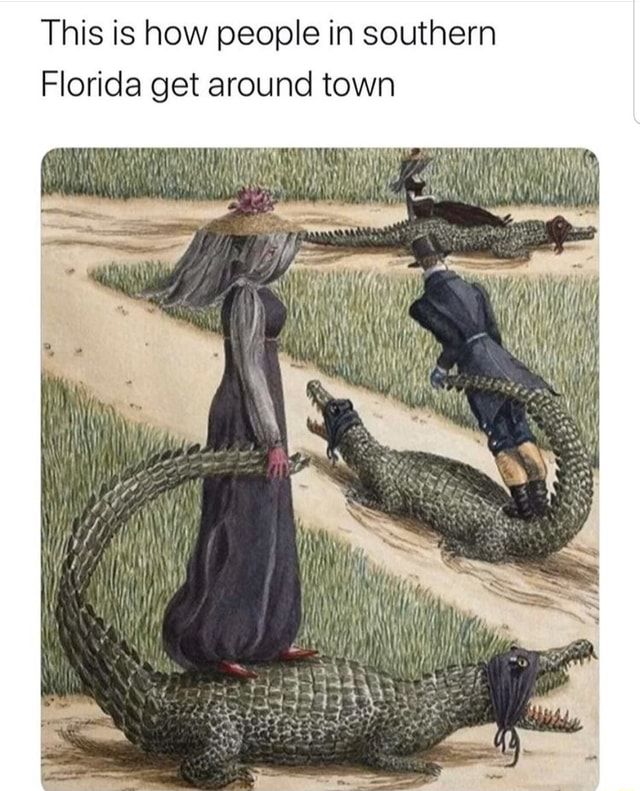 This is how people in southern Florida get around town