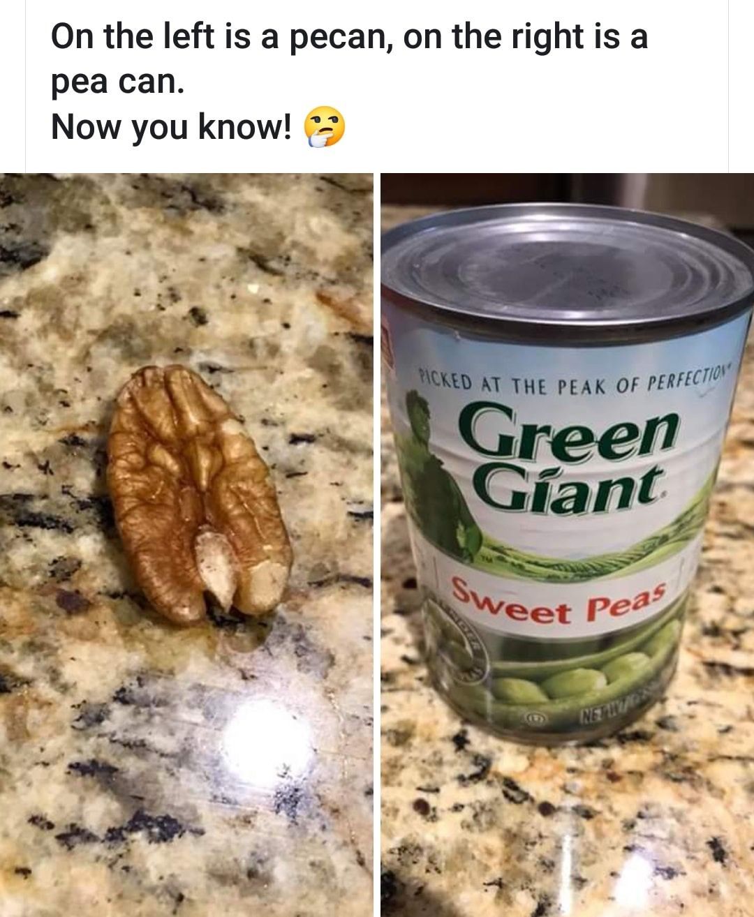 On the left is a pecan on the right is a pea can