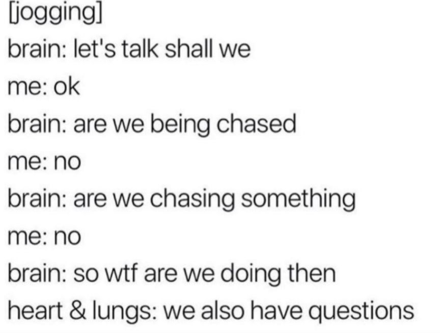 logging brain lets talk shall we me ok brain are we being chased me No brain are we chasing something me No brain so wtf are we doing then heart lungs we also have questions