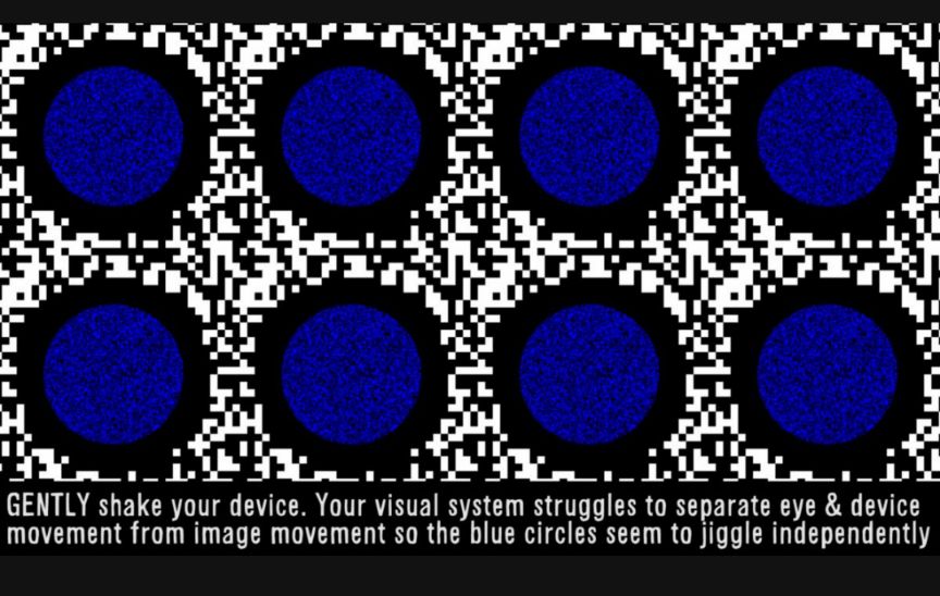 J ill_ll 1 AN T CRT T TR TN SN LU G ERR O T CR TR A movement from image movement so the blue circles seem to jiggle independently