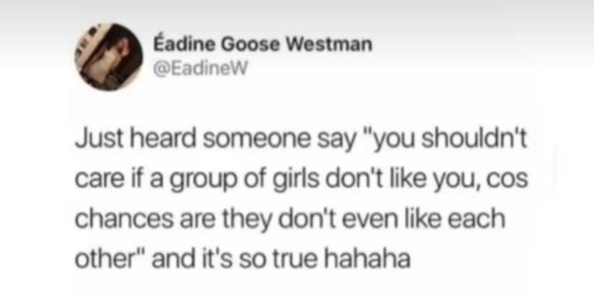 Eadine Goose Westman EadineW Just heard someone say you shouldnt care if a group of girls dont like you cos chances are they dont even like each other and its so true hahaha
