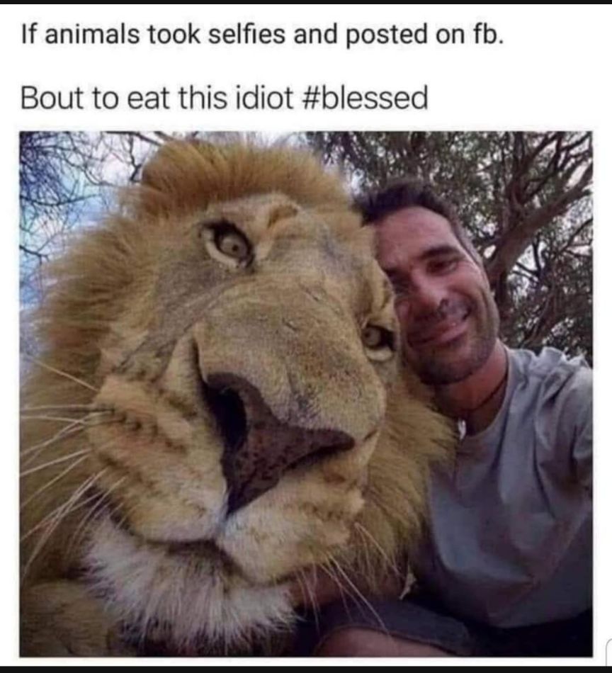 If animals took selfies and posted on fh