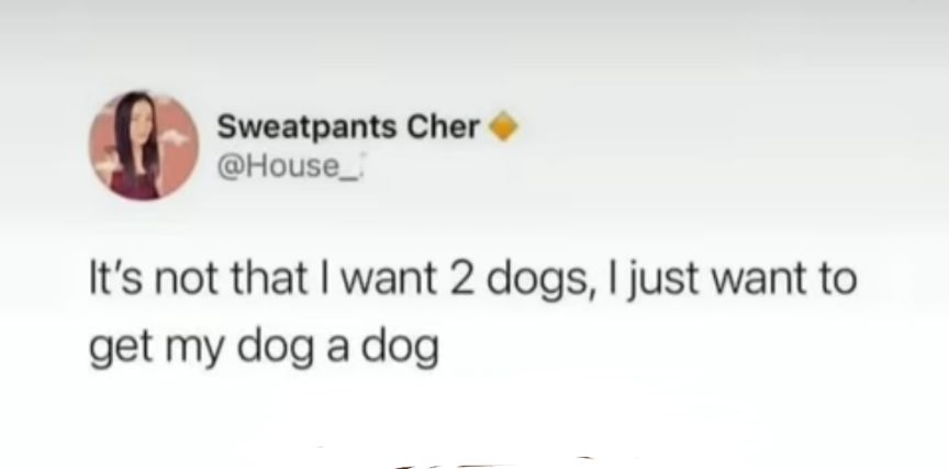 Sweatpants Cher House_ Its not that want 2 dogs just want to get my dog a dog