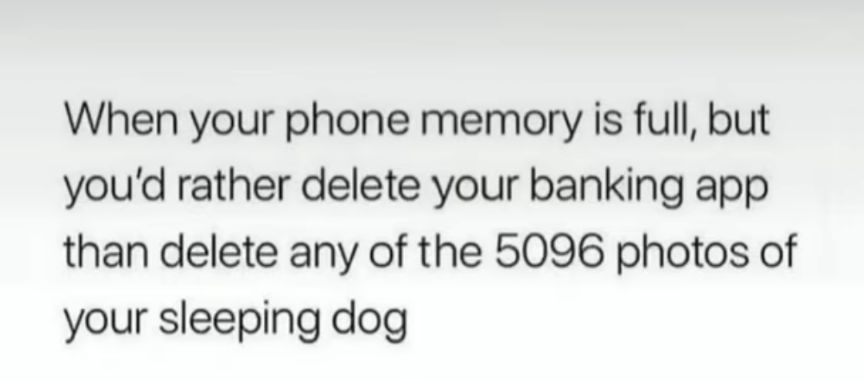 When your phone memory is full but youd rather delete your banking app than delete any of the 5096 photos of your sleeping dog