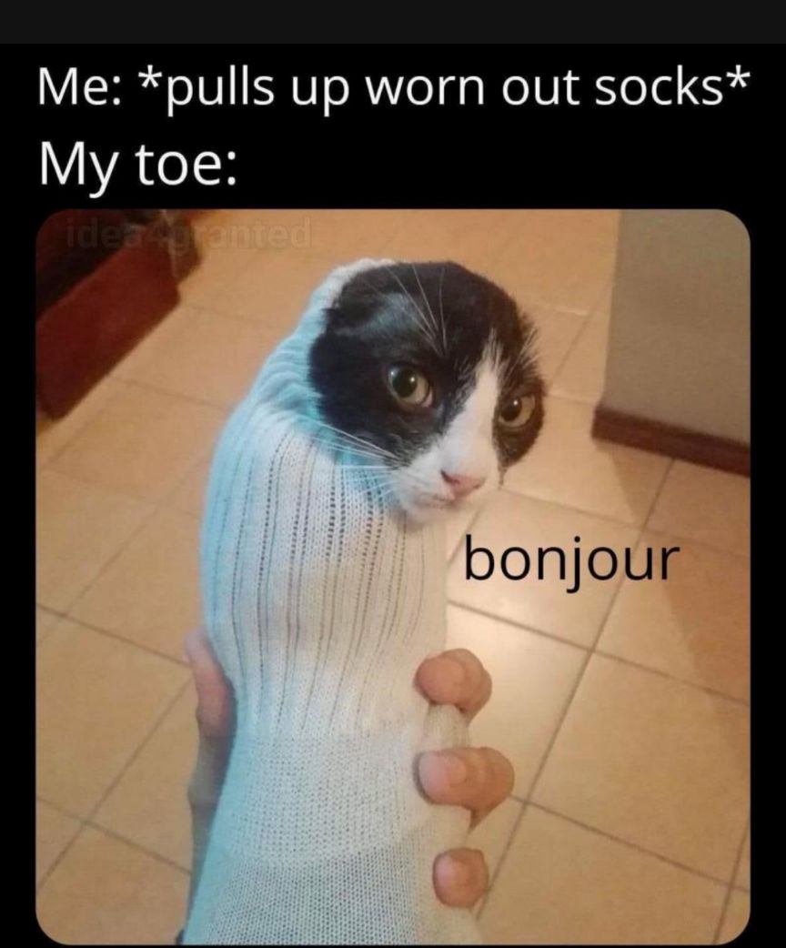 Y LN o101 B VT o RWYo g s WelU ool 5 YYAeIK bonjour