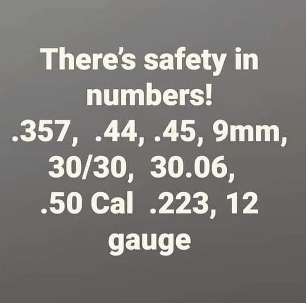 Theres safety in numbers e L V S LT 1 3030 3006 Y1 N o I T gauge