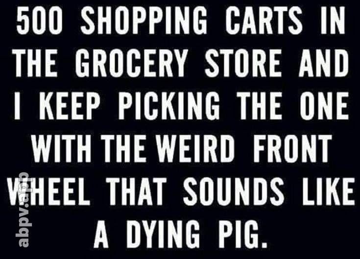 900 SHOPPING CARTS IN THE GROCERY STORE AND KEEP PICKING THE ONE WITH THE WEIRD FRONT VEHEEL THAT SOUNDS LIKE A DYING PIG