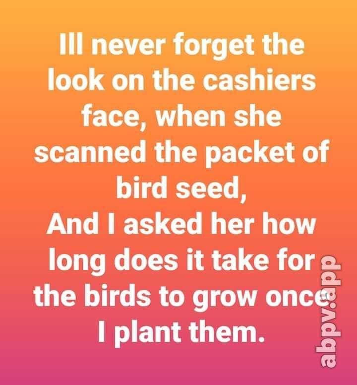 lll never forget the look on the cashiers L R 1 S LD R GG ETE G 114 Y 8 And asked her how long does it take for o Q the birds to grow once plant them 2