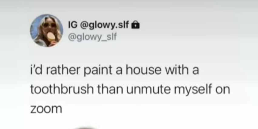 IG glowyslf glowy_slf id rather paint a house with a toothbrush than unmute myself on zoom