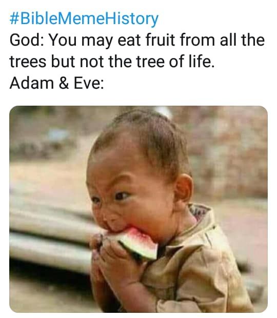 BibleMemeHistory God You may eat fruit from all the trees but not the tree of life Adam Eve