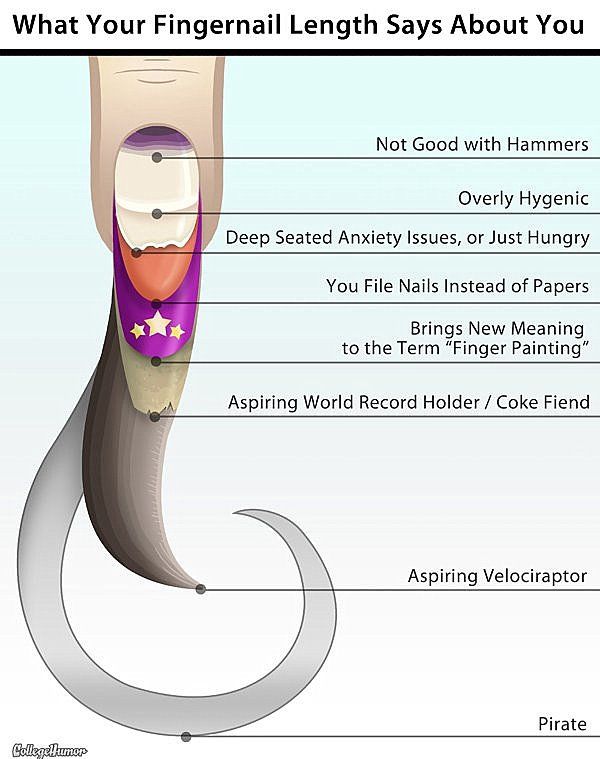 What Your Fingernail Length Says About You Not Good with Hammers Overly Hygenic Deep Seated Anxiety Issues or Just Hungry You File Nails Instead of Papers Brings New Meaning to the Term Finger Painting Aspiring World Record Holder Coke Fiend Aspiring Velociraptor Pirate