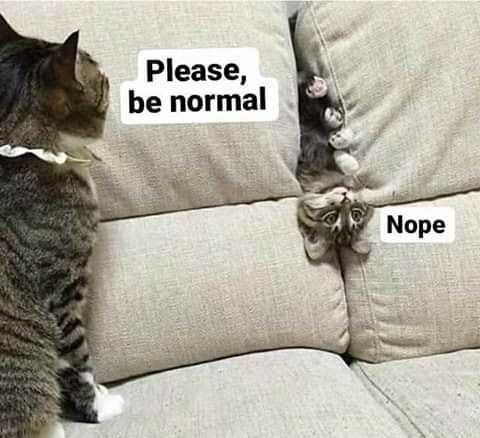 Please be normal